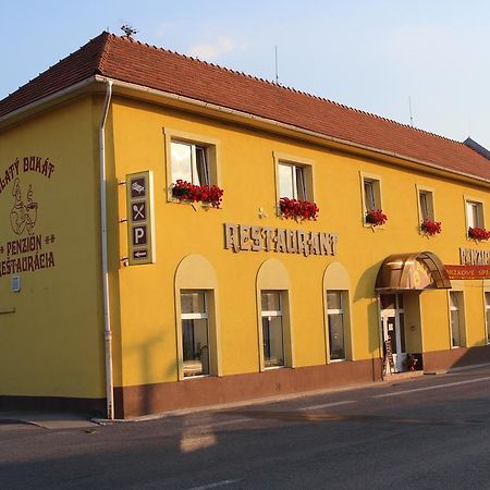 Penzion Zlaty Dukat Zvolenská Slatina Екстериор снимка